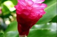 top域名多錢(qián)一年 網(wǎng)站域名一般多少錢(qián)