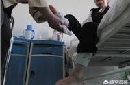 牡丹江企業(yè)招聘網(wǎng)站 企業(yè)免費招聘網(wǎng)站有哪些