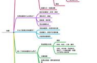 思維導(dǎo)圖網(wǎng)站源碼 思維導(dǎo)圖模板
