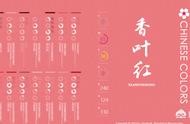 商務網(wǎng)站設計色彩搭配技巧 色彩搭配學