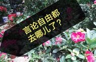 美國tdi公司網(wǎng)站 公司網(wǎng)站費(fèi)用