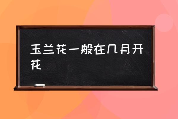 玉蘭花一般在幾月開花 玉蘭花是什么季節(jié)開？