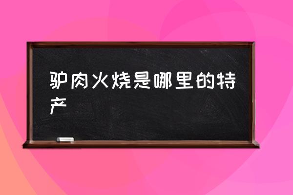 驢肉火燒是哪里的特產(chǎn) 哪的驢肉火燒最正宗？