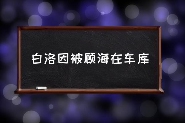 白洛因被顧海在車庫 家居用品，你還敢網(wǎng)購嗎？