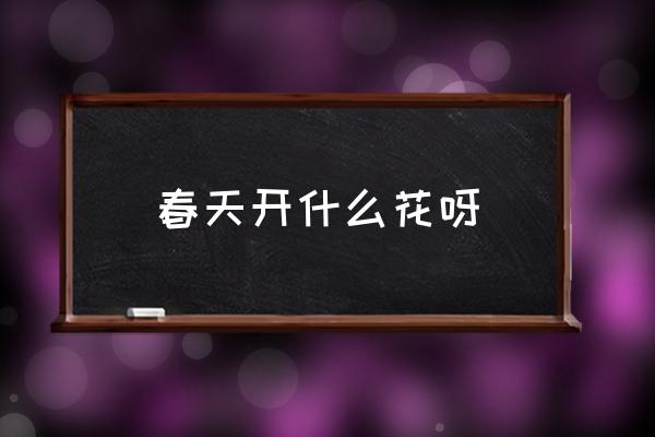 春天開什么花呀 春天有哪些花會開？
