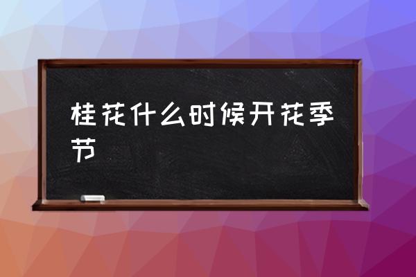 桂花什么時候開花季節(jié) 桂花開花時間是幾點(diǎn)？