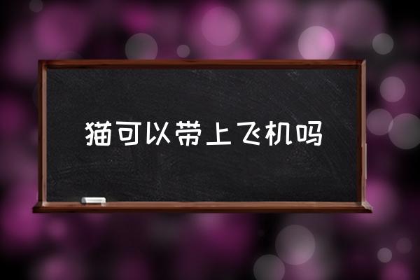 貓可以帶上飛機嗎 高鐵能帶小貓嗎？