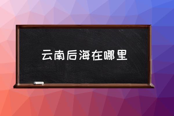 云南后海在哪里 陳玉建后海酒吧是哪里的？
