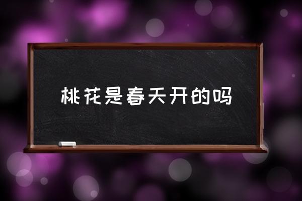 桃花是春天開的嗎 桃花是在什么季節(jié)開花的？