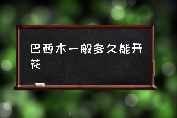 巴西木一般多久能開花 巴西木幾年開花？