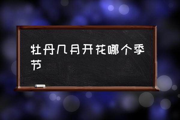 牡丹幾月開花哪個(gè)季節(jié) 牡丹多久開花？