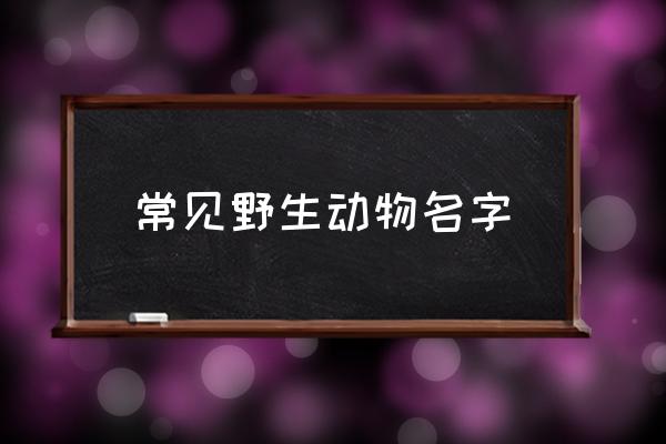 常見(jiàn)野生動(dòng)物名字 野生動(dòng)物包括哪些？