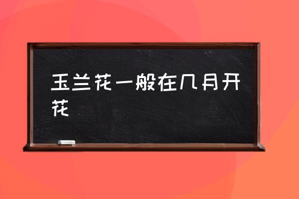 玉蘭花一般在幾月開花 玉蘭開花多久？