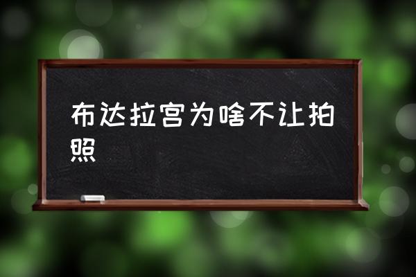 布達(dá)拉宮為啥不讓拍照 布達(dá)拉宮地理位置分析？