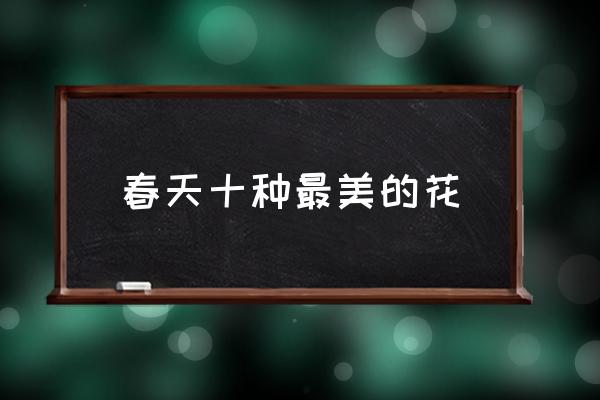春天十種最美的花 春天最美的花有哪些？