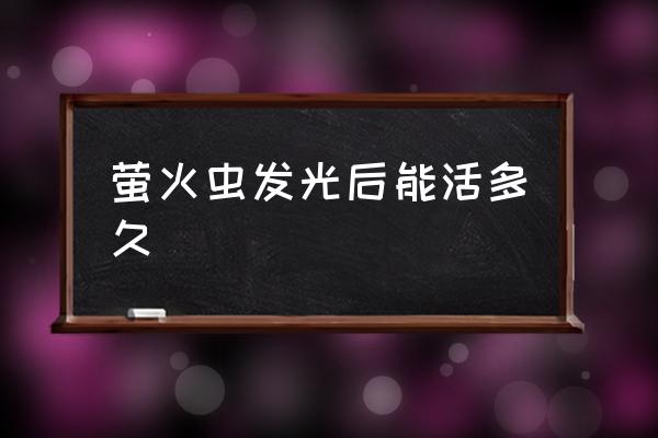 螢火蟲發(fā)光后能活多久 瑩火蟲為什么會發(fā)光？