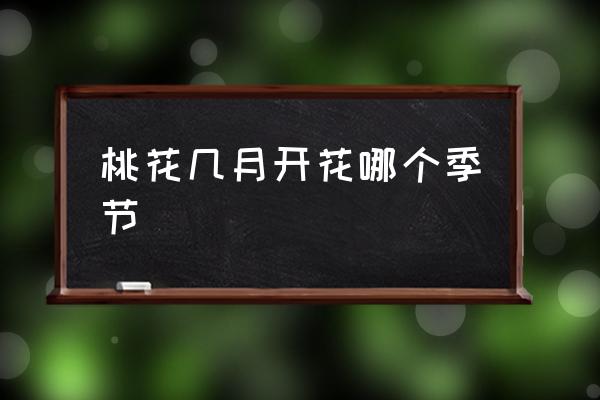 桃花幾月開(kāi)花哪個(gè)季節(jié) 桃花的花期通常？
