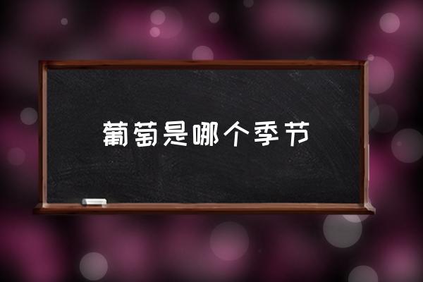 葡萄是哪個(gè)季節(jié) 葡萄發(fā)芽到成熟多久？