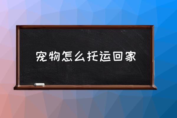 寵物怎么托運回家 寵物上高鐵要什么手續(xù)？