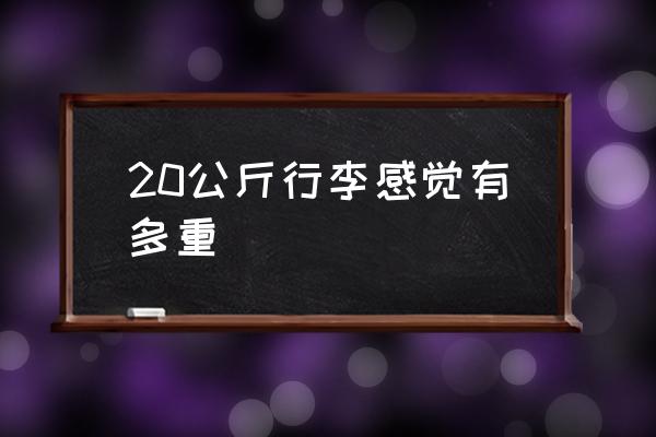 20公斤行李感覺有多重 20kg等于多少公斤？
