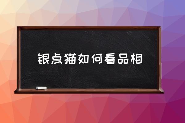 銀點(diǎn)貓如何看品相 銀點(diǎn)貓品種？