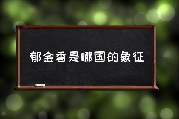 郁金香是哪國的象征 荷蘭種植郁金香用途？