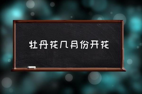 牡丹花幾月份開花 牡丹開放時(shí)間和預(yù)兆？