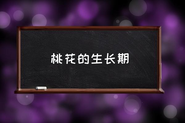 桃花的生長期 桃花什么時候開花？