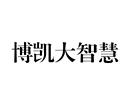 博凱大智慧