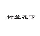樹(shù)蘭花下