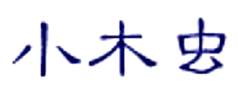 小木蟲(chóng)