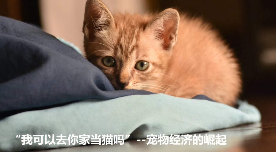 a3bb9bce3982e6a9d451ce28b1f5e4f4.png a3bb9bce3982e6a9d451ce28b1f5e4f4.png