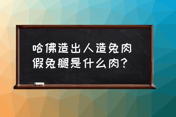 哈佛造出人造兔肉 假兔腿是什么肉？