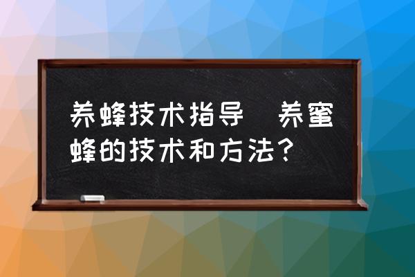 養(yǎng)蜂技術(shù)指導(dǎo)(養(yǎng)蜜蜂的技術(shù)和方法？)