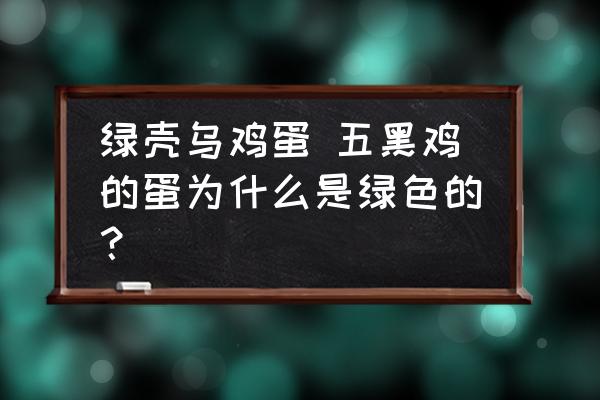 綠殼烏雞蛋 五黑雞的蛋為什么是綠色的？