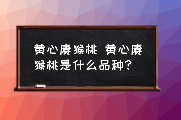黃心獼猴桃 黃心獼猴桃是什么品種？