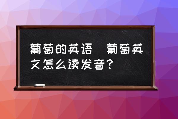葡萄的英語(葡萄英文怎么讀發(fā)音？)