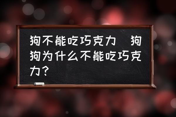 狗不能吃巧克力(狗狗為什么不能吃巧克力？)