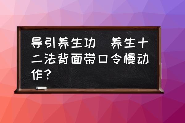 導(dǎo)引養(yǎng)生功(養(yǎng)生十二法背面帶口令慢動(dòng)作？)