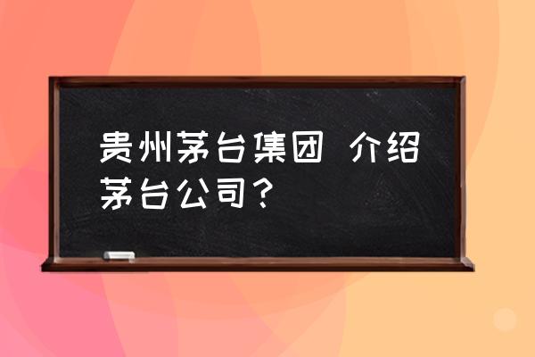 貴州茅臺集團 介紹茅臺公司？