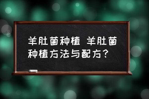 羊肚菌種植 羊肚菌種植方法與配方？