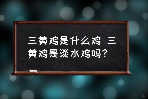 三黃雞是什么雞 三黃雞是淡水雞嗎？