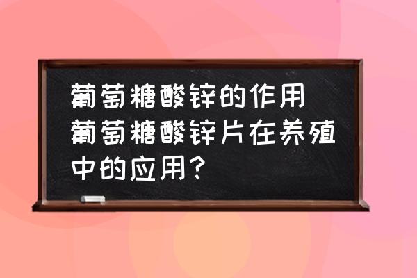 葡萄糖酸鋅的作用 葡萄糖酸鋅片在養(yǎng)殖中的應(yīng)用？