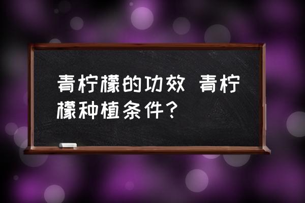 青檸檬的功效 青檸檬種植條件？