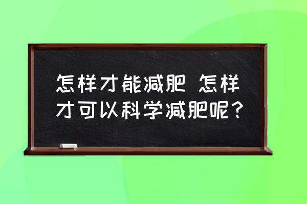 怎樣才能減肥 怎樣才可以科學(xué)減肥呢？