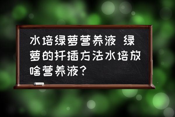水培綠蘿營養(yǎng)液 綠蘿的扦插方法水培放啥營養(yǎng)液？