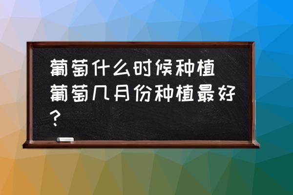 葡萄什么時(shí)候種植 葡萄幾月份種植最好？