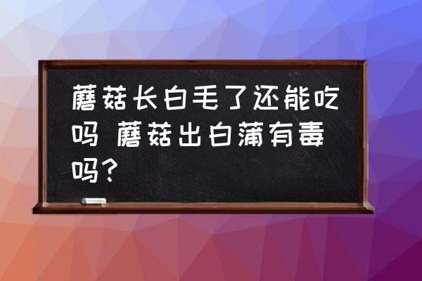 蘑菇長白毛了還能吃嗎 蘑菇出白蒲有毒嗎？
