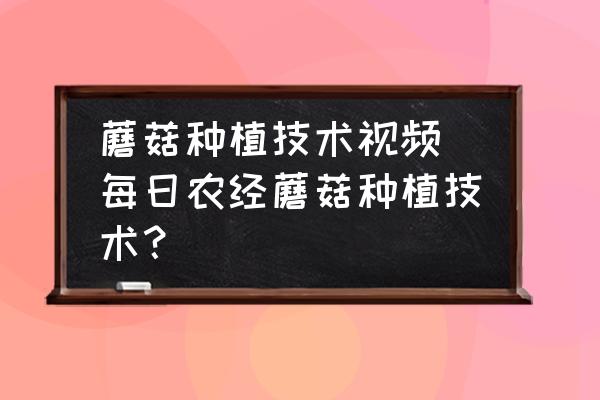 蘑菇種植技術(shù)視頻(每日農(nóng)經(jīng)蘑菇種植技術(shù)？)