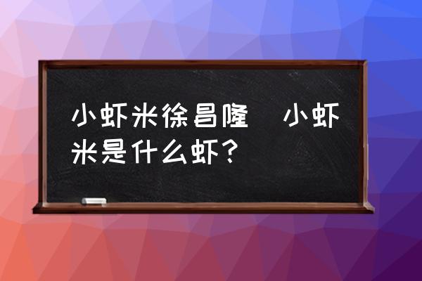 小蝦米徐昌隆(小蝦米是什么蝦？)